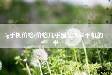 5g手机价钱，价钱几乎是华为5G手机的一半？