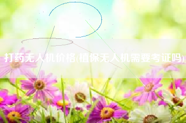 打药无人机价钱，植保无人机须要考据吗？