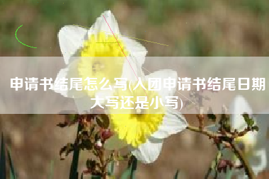 申请书末端怎么写，入团申请书末端日期大写仍是小写？