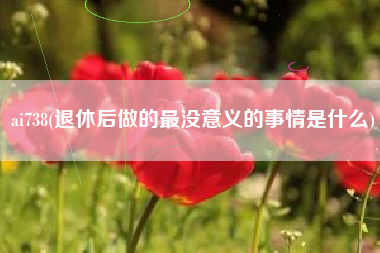 ai738，退休后做的最没意思的事情是什么？