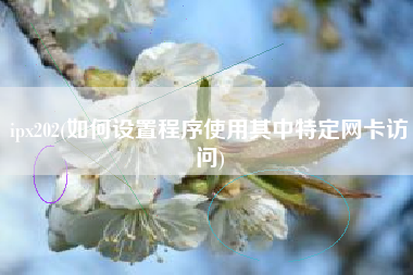 ipx202，怎样设置法式应用此中特定网卡拜访？