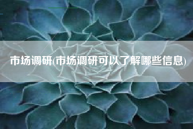 市场调研，市场调研可以了解哪些信息？
