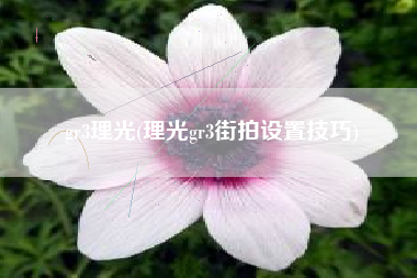gr3理光，理光gr3街拍设置技能？