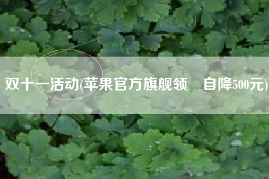 双十一运动，苹果官方旗舰领劵自降500元？