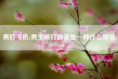 男打飞机，男生被打到蛋是一种甚么体会？
