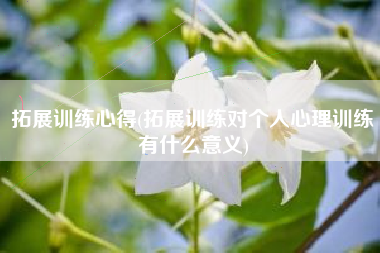 拓展练习心得，拓展练习对个民气理练习有什么意思？