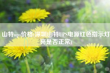 山特ups价钱，深圳山特UPS电源白色指示灯亮是否正常？