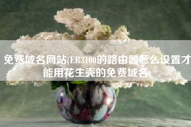 收费域名网站，ER3100的路由器怎样设置才干用花生壳的收费域名？