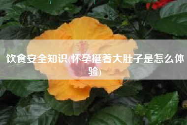 饮食安好常识，有身挺着大肚子是怎么体会？