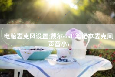 电脑麦克风设置，戴尔win11笔记本麦克风声响小？