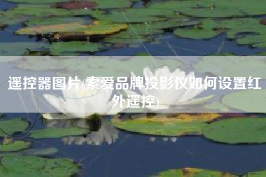 遥控器图片，索爱品牌投影仪怎样设置红外遥控？