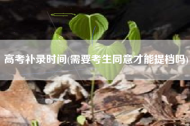 高考补录时光，须要考生批准才干提档吗？