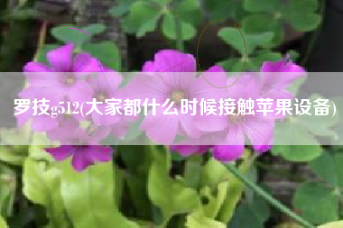罗技g512，大家都什么时候打仗苹果装备？
