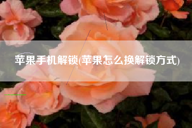苹果手机解锁，苹果怎样换解锁方法？