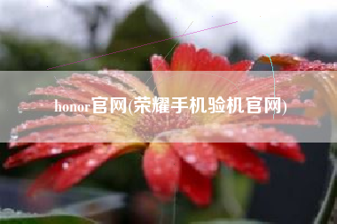 honor官网，光荣手机验机官网？